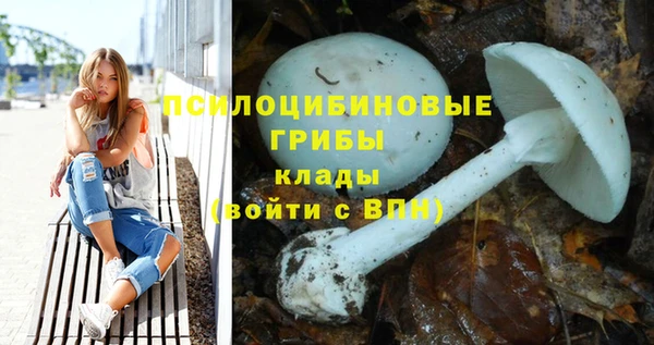 бутират Баксан