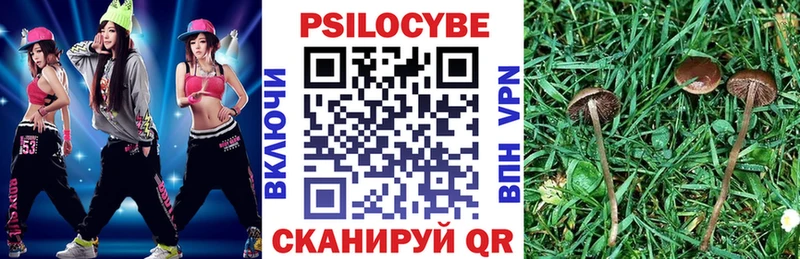 Псилоцибиновые грибы мухоморы  KRAKEN как войти  Новомосковск 
