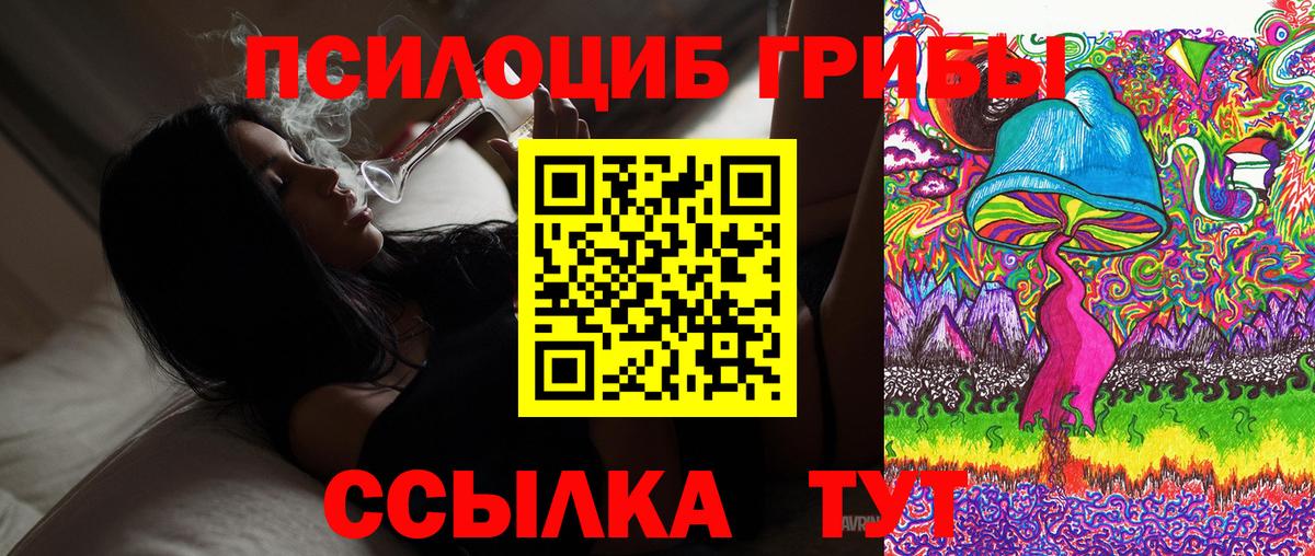 где можно купить   Псилоцибиновые грибы Cubensis  Новомосковск  Вход с VPN  Галлюциногенные грибы Magic Shrooms 